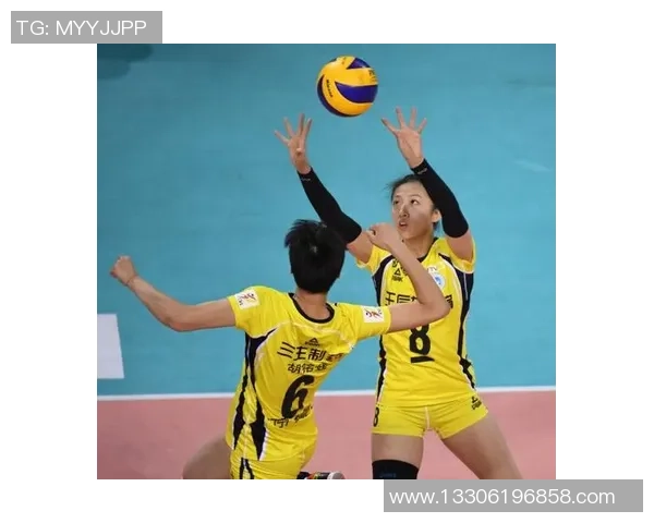武汉排球队的蜕变之旅世界锦标赛背后的奋斗与坚持